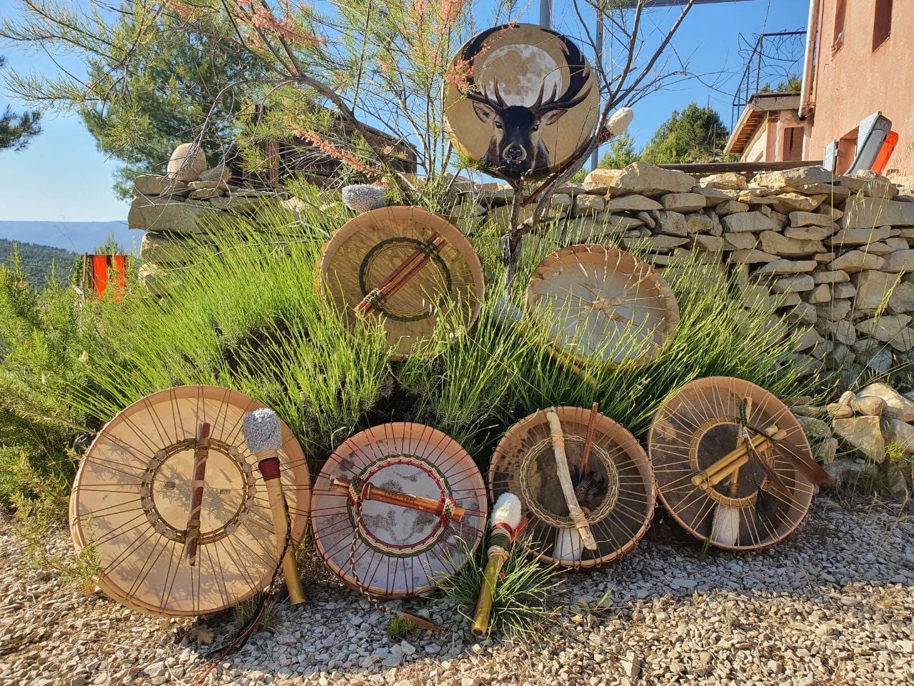 WhatsApp Image 2022-08-13 at 16.18.51